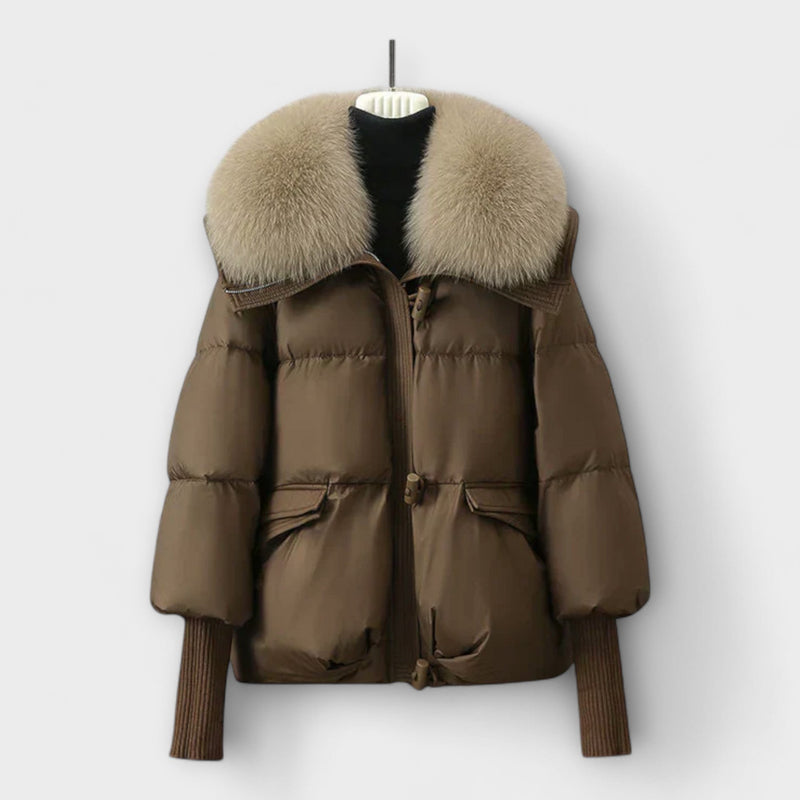 Elegant Coat with Fur
